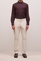 Regular Fit Chino
