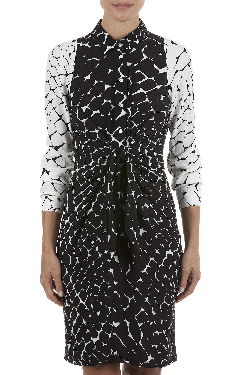 Print Shirt Dress