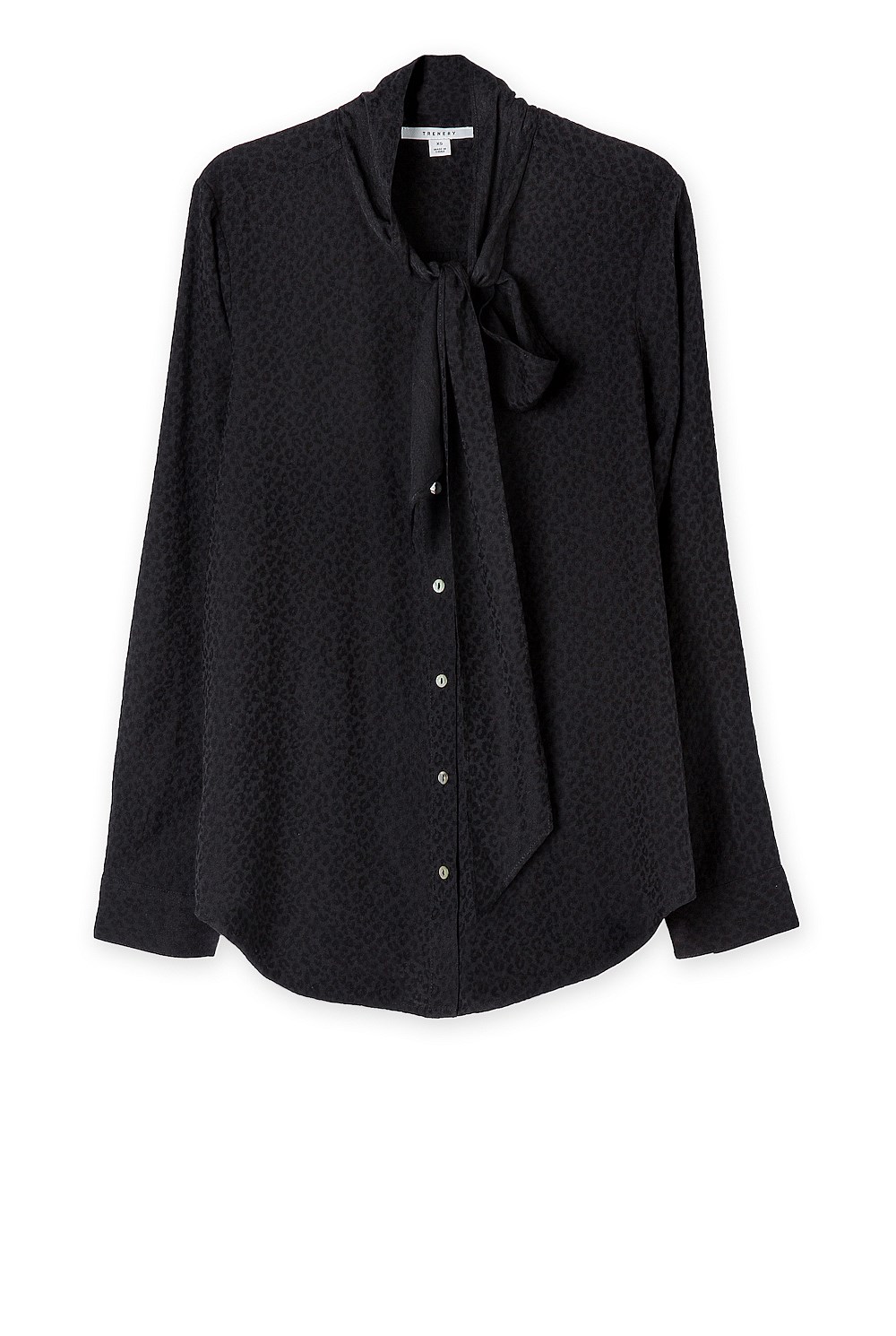 Poet Blouse