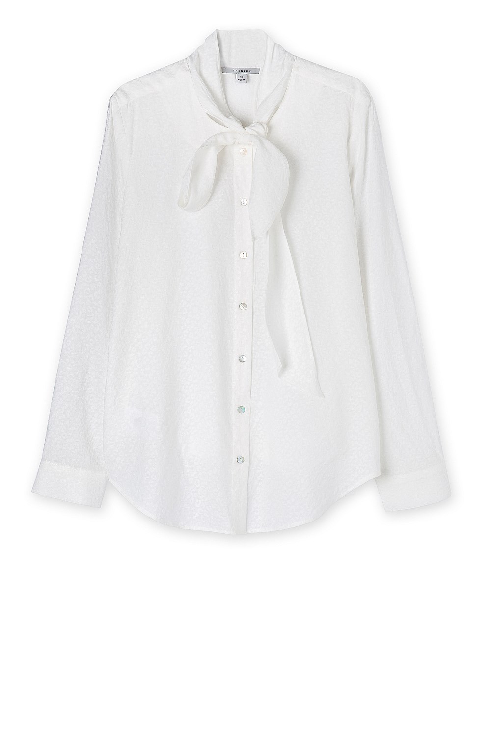 Poet Blouse