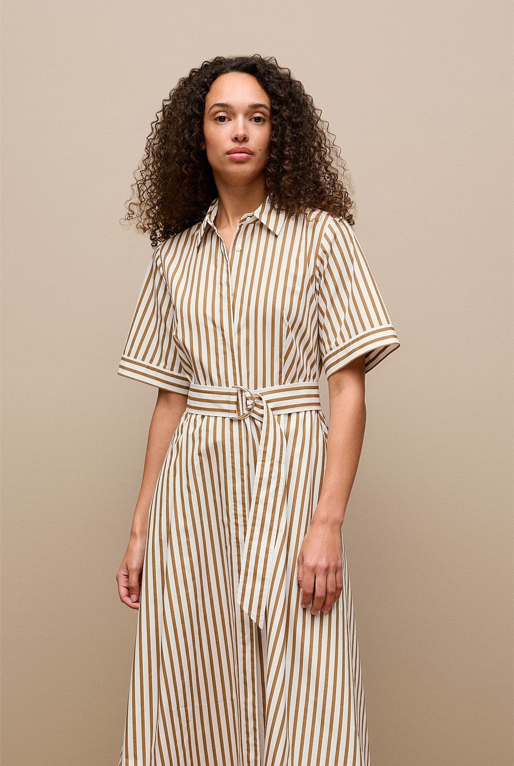 Poplin Stripe Belted Dress