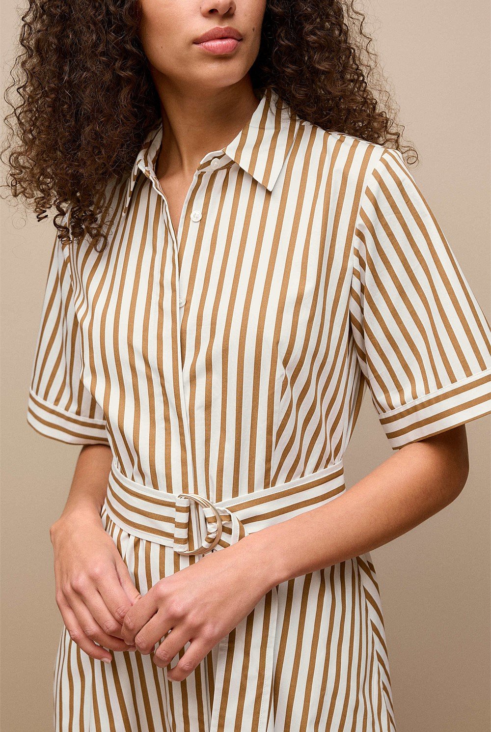 Poplin Stripe Belted Dress