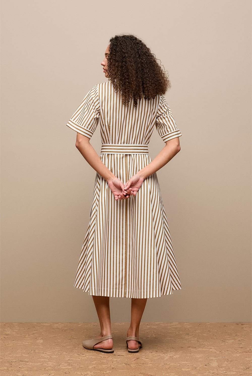 Poplin Stripe Belted Dress