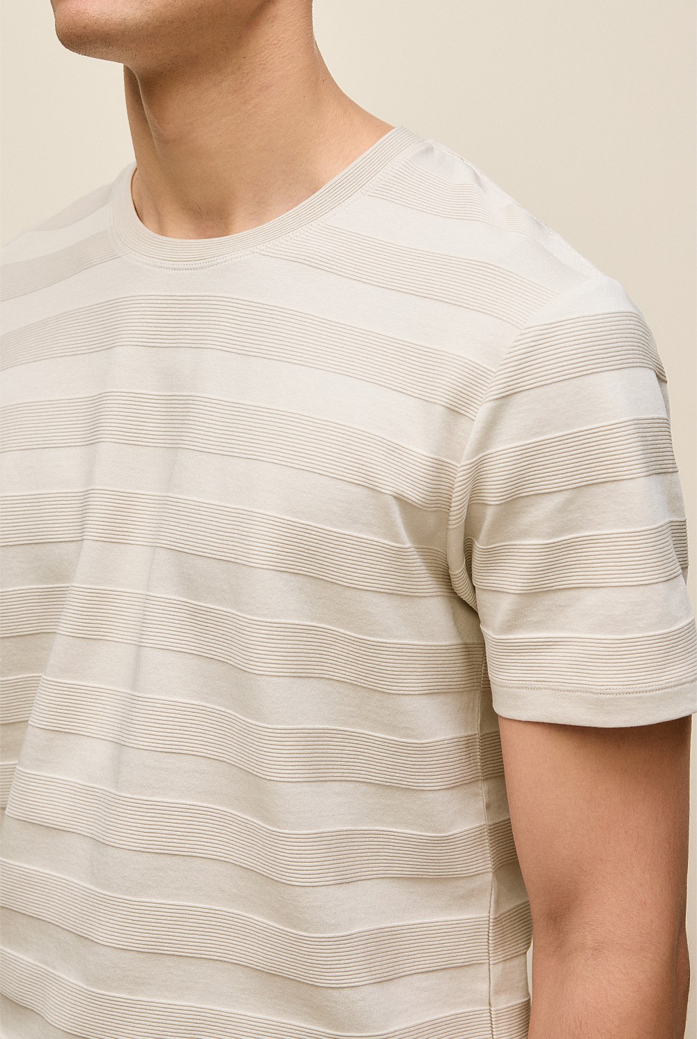 Textured Stripe Crew T-shirt
