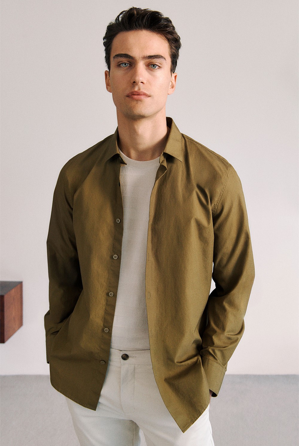 Tailored Fit Cotton Poplin Shirt