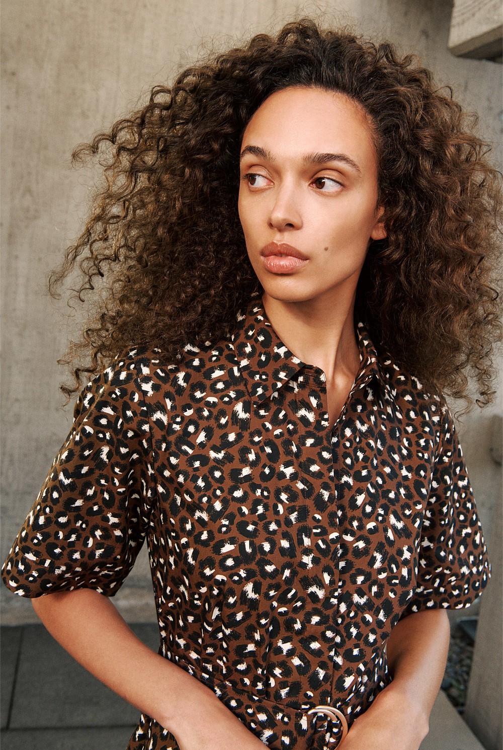 Leopard Poplin Belted Dress