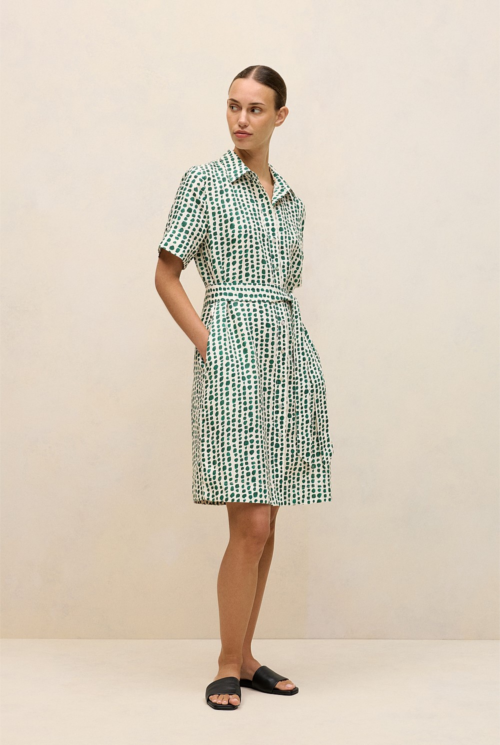 Brush Spot Linen Shirt Dress