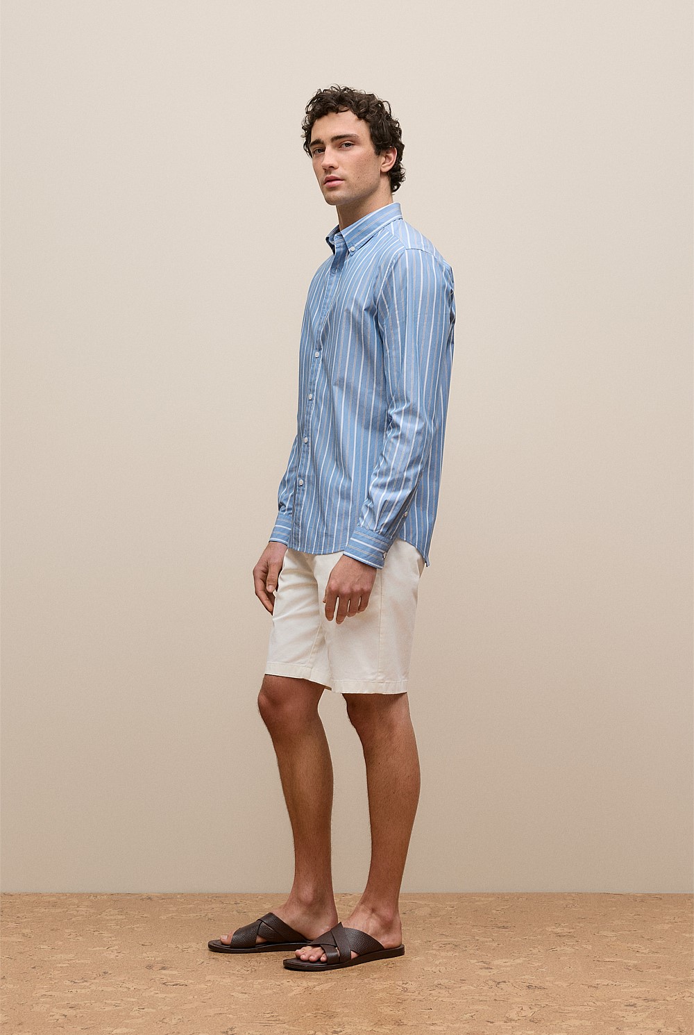 Regular Fit Poplin Stripe Long Sleeve Shirt