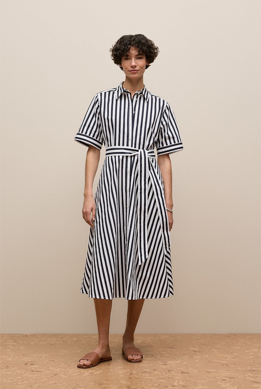 Cotton Poplin Stripe Shirt Dress
