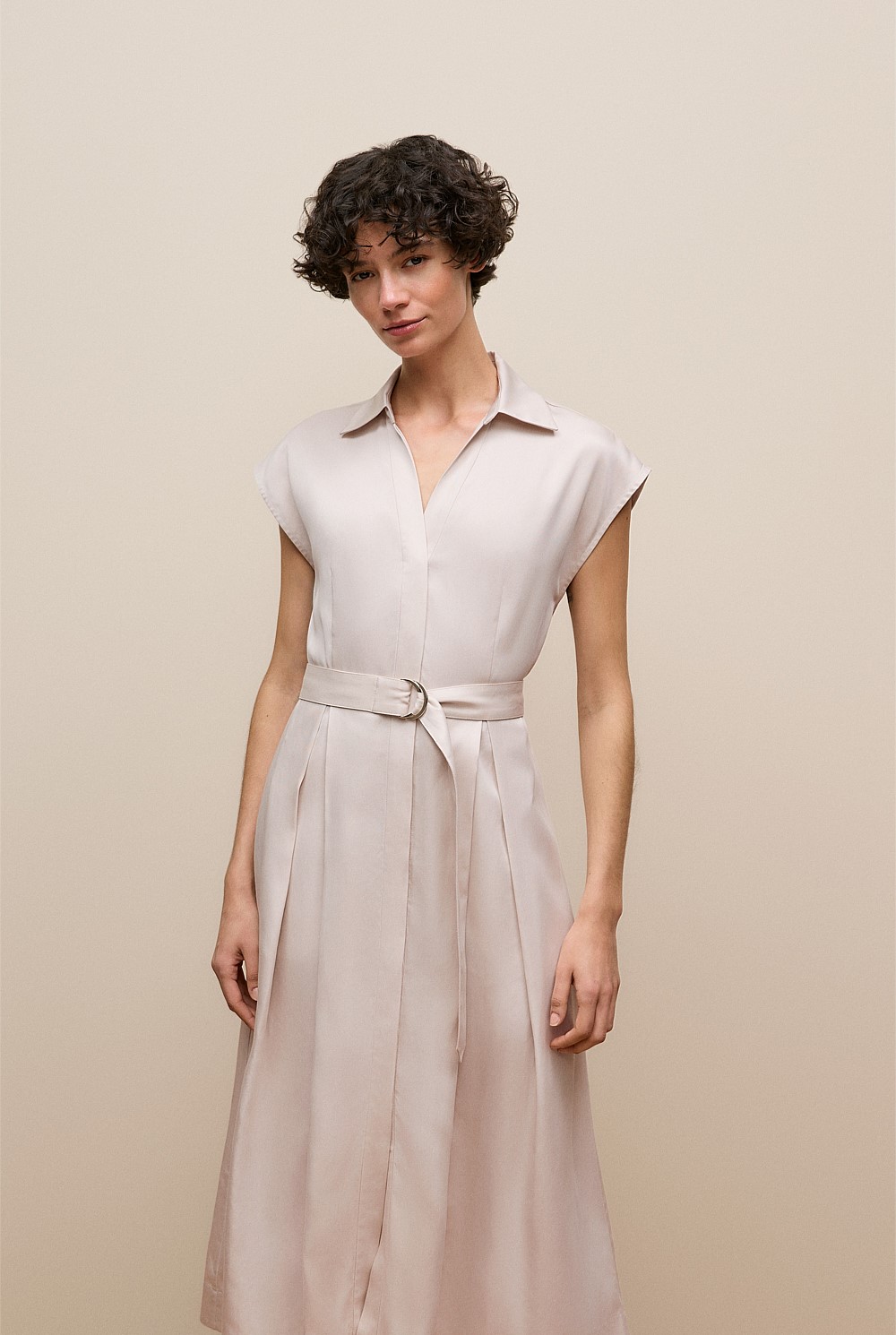 Soft Pleat Belted Dress