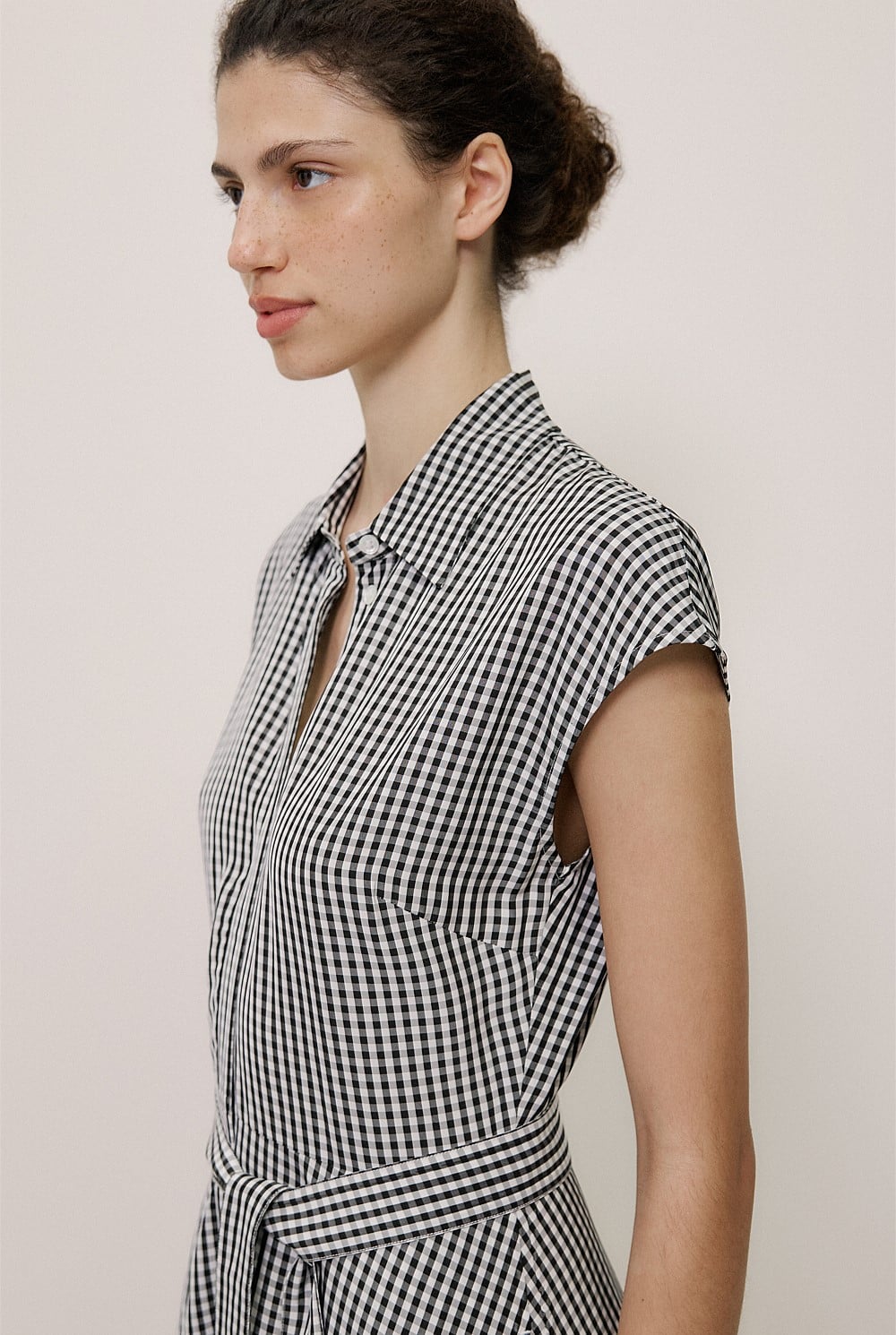 Gingham Belted Dress